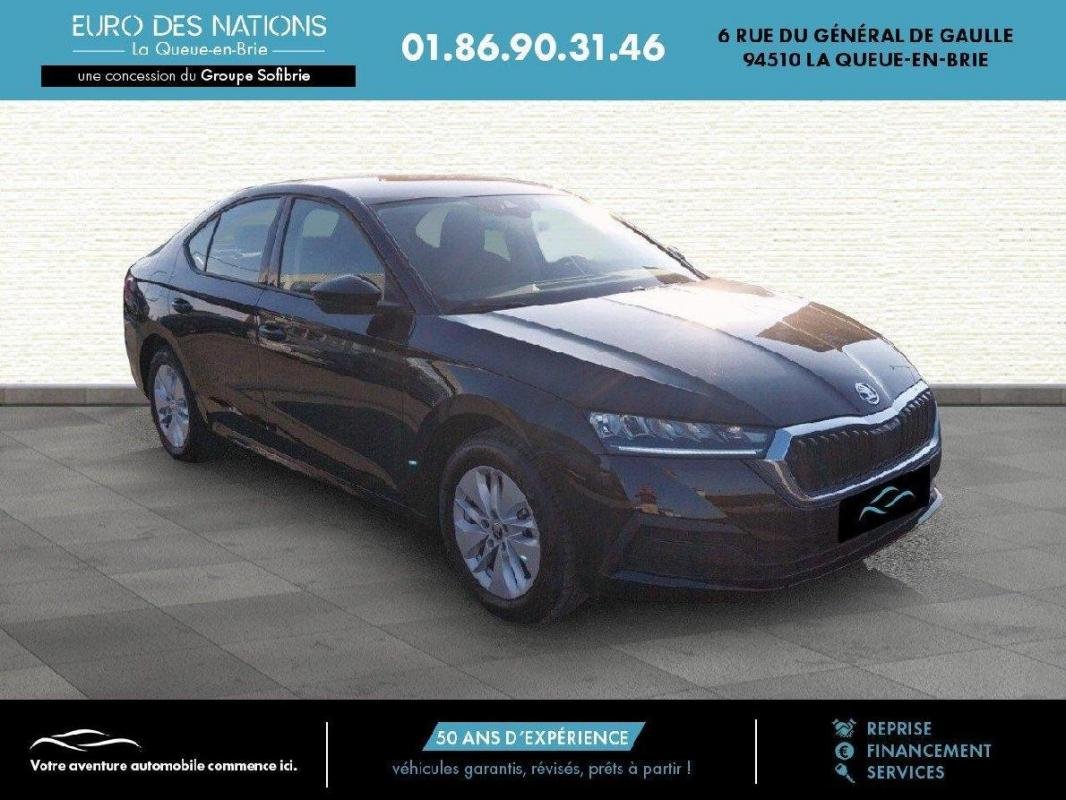 skoda - Visuel 7