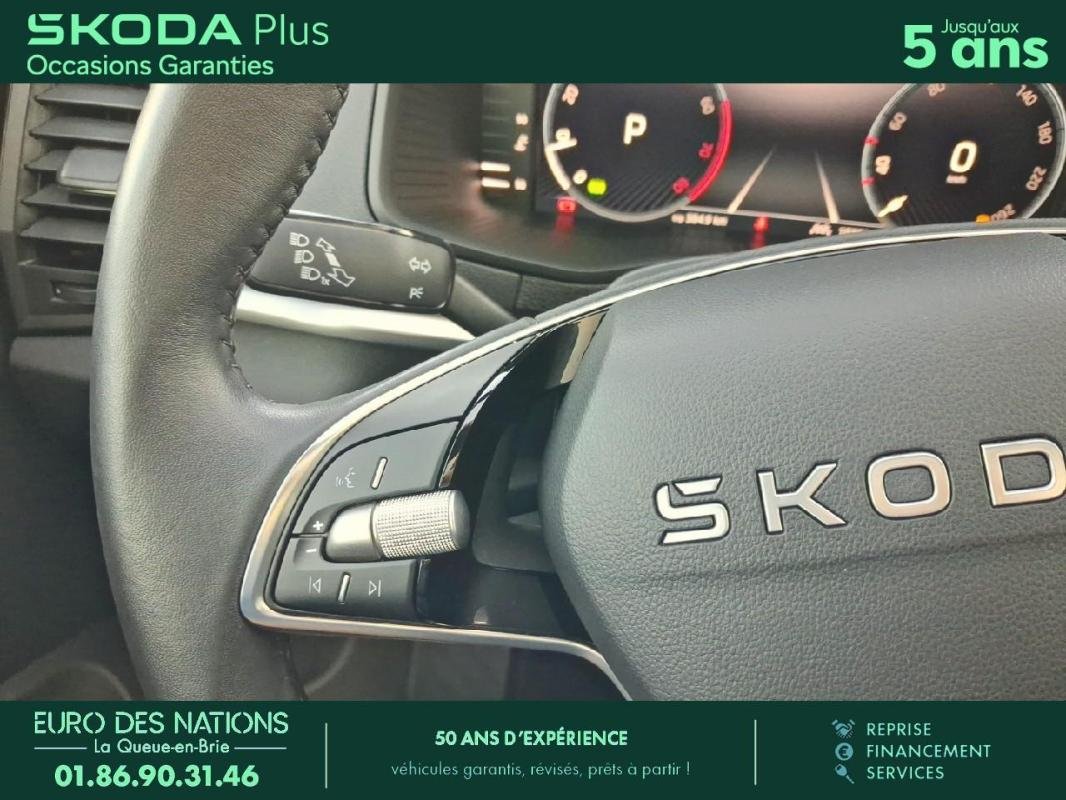 skoda - Visuel 20