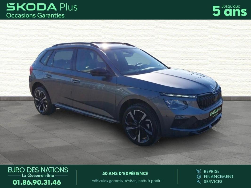 skoda - Visuel 2