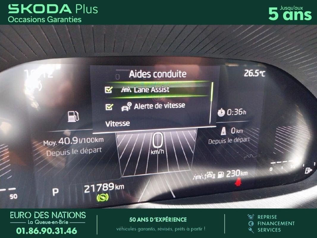 skoda - Visuel 21